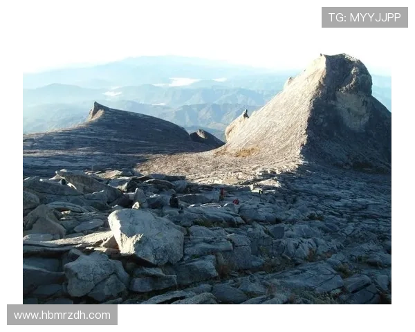 张强独家分享攀岩技巧与心得体会助你征服高峰